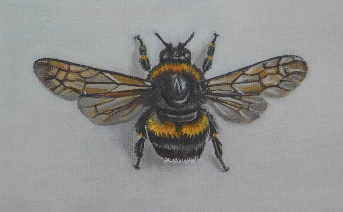 Bee
