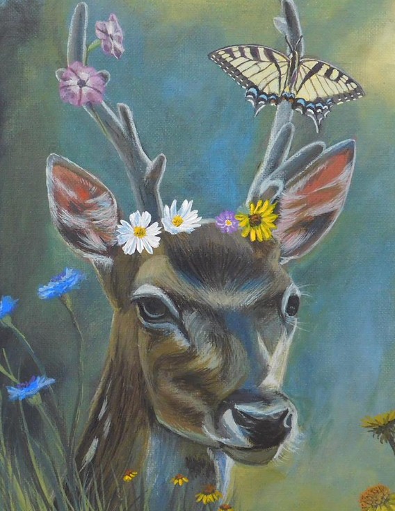 Deer