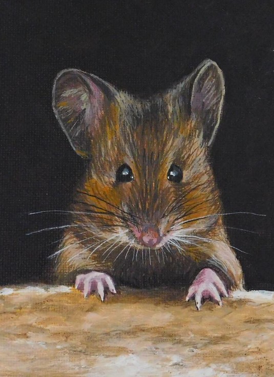 Mouse