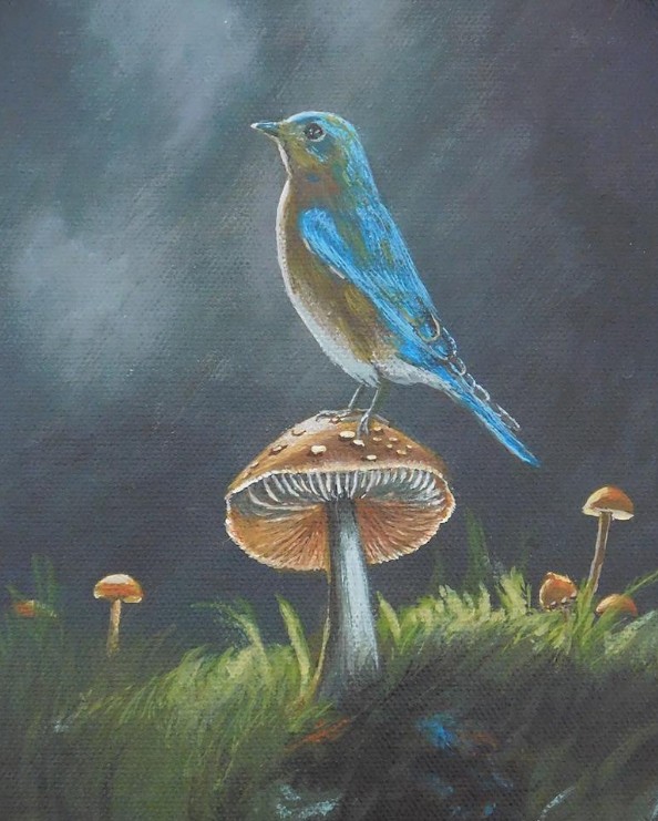 Mushroom & Bird